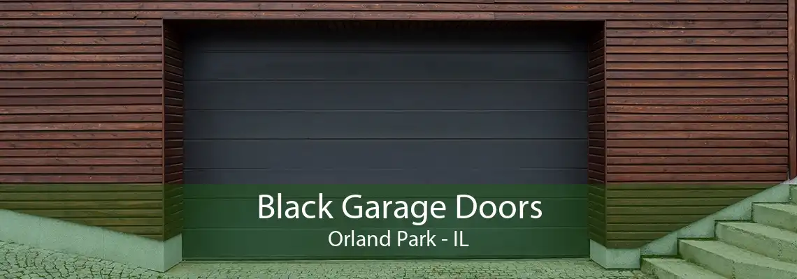 Black Garage Doors Orland Park - IL