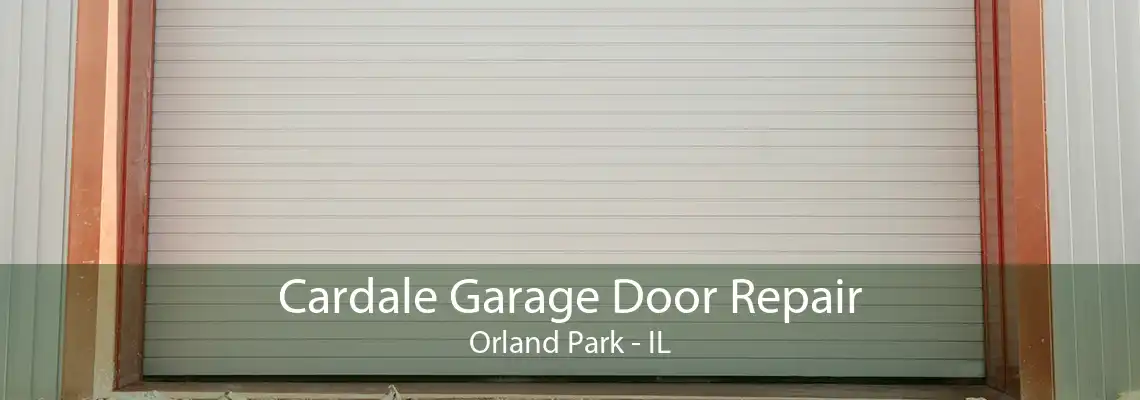 Cardale Garage Door Repair Orland Park - IL