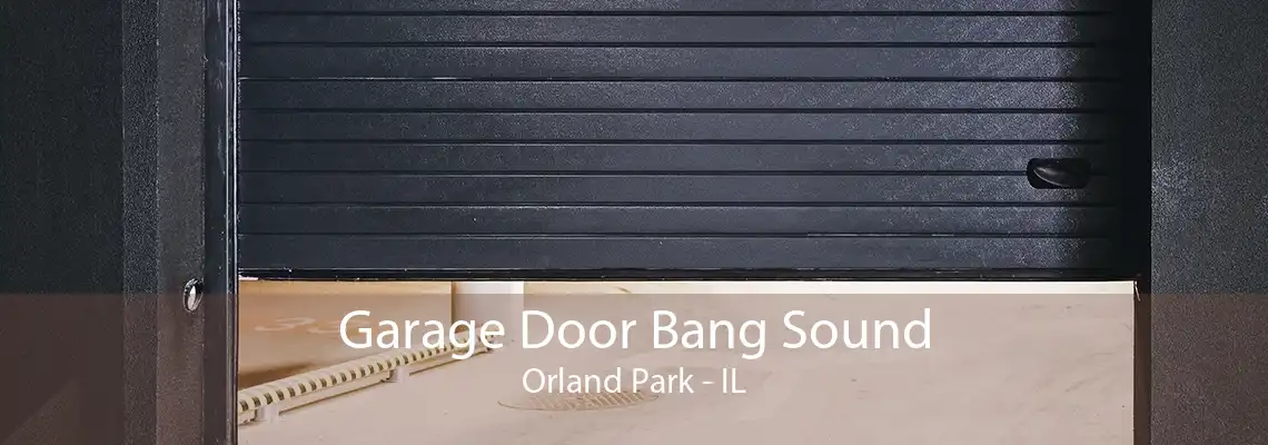 Garage Door Bang Sound Orland Park - IL