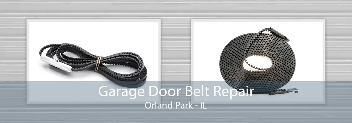 Garage Door Belt Repair Orland Park - IL