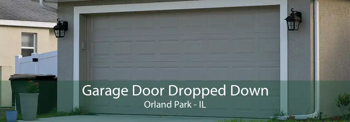 Garage Door Dropped Down Orland Park - IL