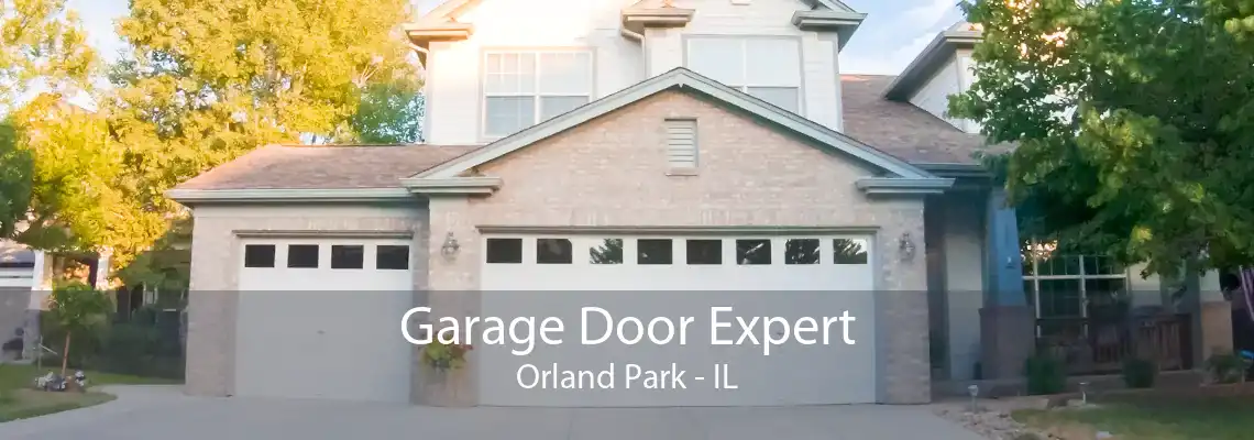 Garage Door Expert Orland Park - IL