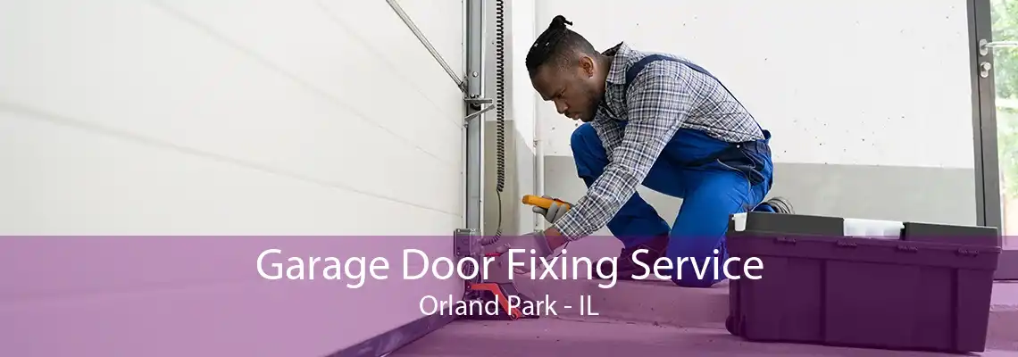 Garage Door Fixing Service Orland Park - IL