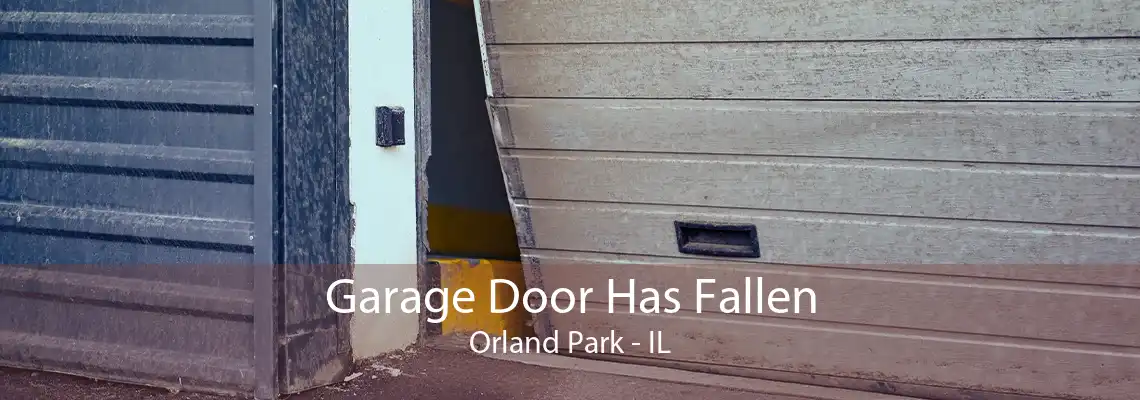 Garage Door Has Fallen Orland Park - IL