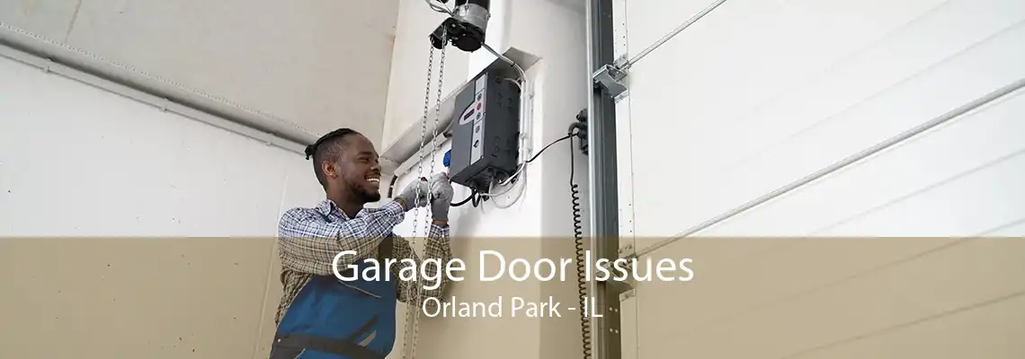 Garage Door Issues Orland Park - IL