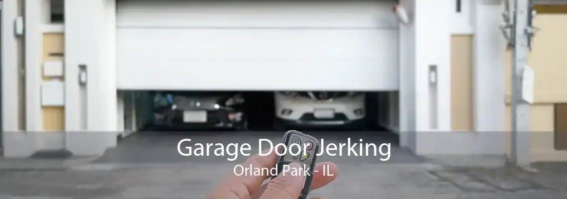 Garage Door Jerking Orland Park - IL