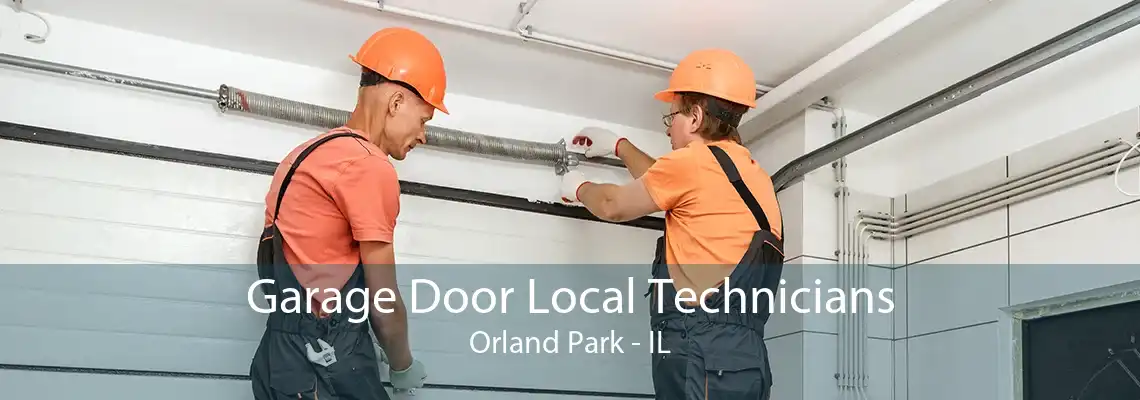 Garage Door Local Technicians Orland Park - IL