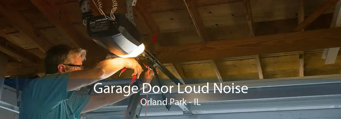 Garage Door Loud Noise Orland Park - IL