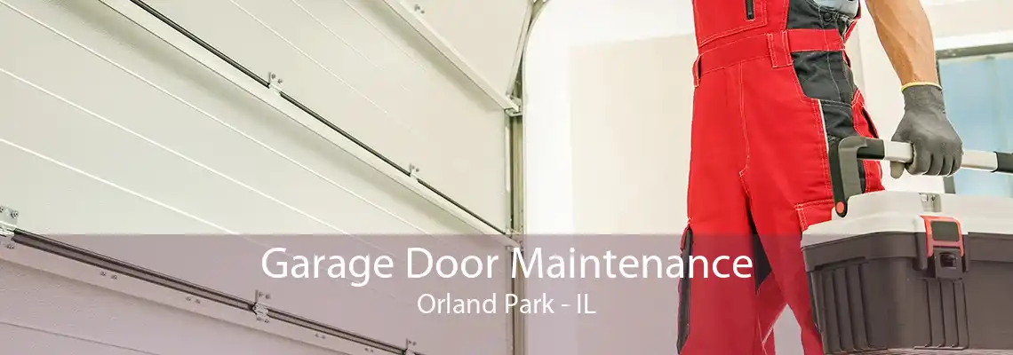 Garage Door Maintenance Orland Park - IL