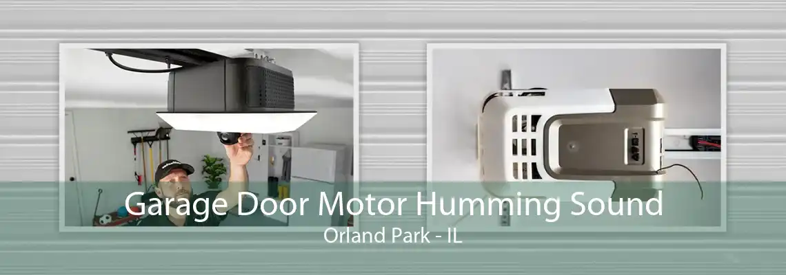 Garage Door Motor Humming Sound Orland Park - IL