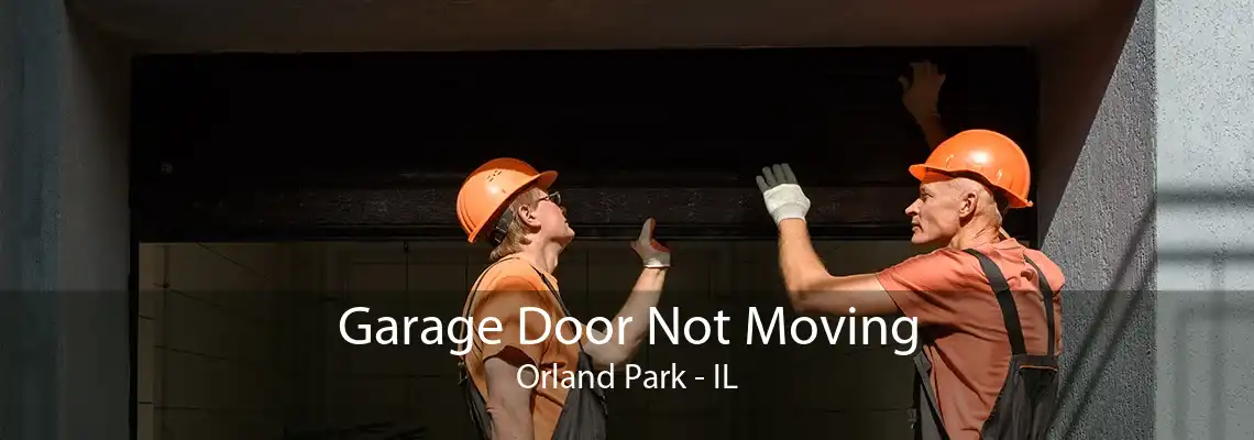 Garage Door Not Moving Orland Park - IL