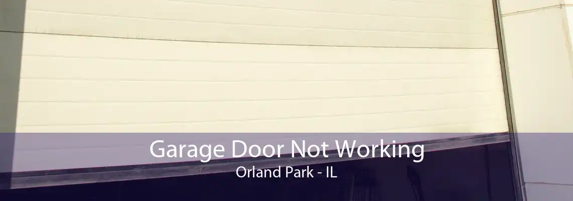 Garage Door Not Working Orland Park - IL