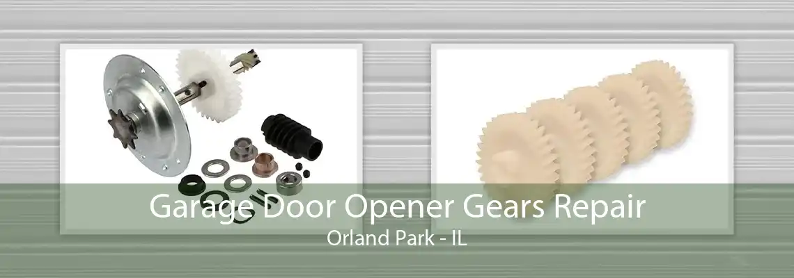 Garage Door Opener Gears Repair Orland Park - IL