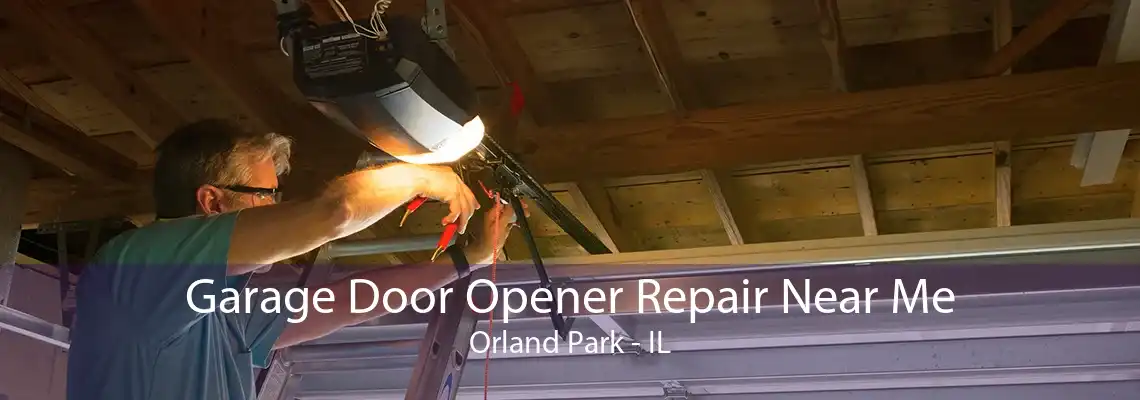 Garage Door Opener Repair Near Me Orland Park - IL