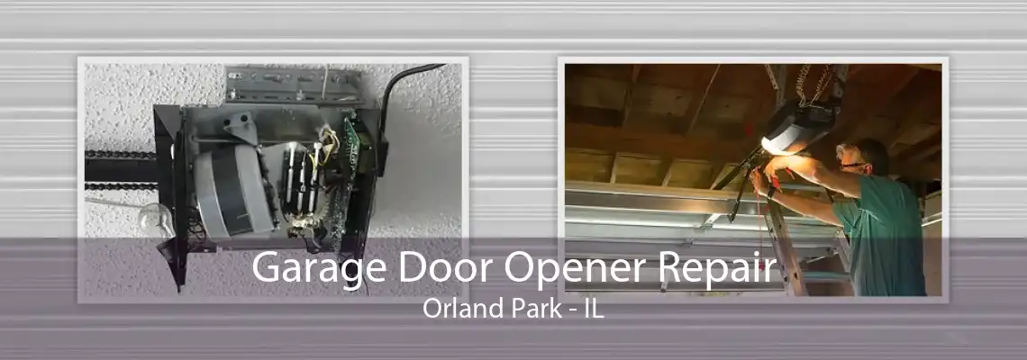 Garage Door Opener Repair Orland Park - IL