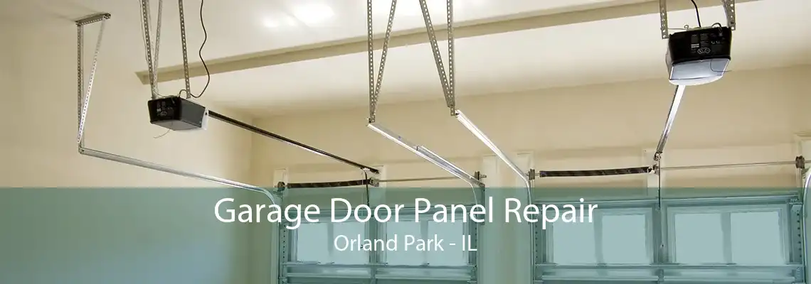 Garage Door Panel Repair Orland Park - IL