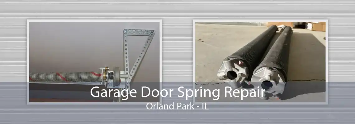 Garage Door Spring Repair Orland Park - IL