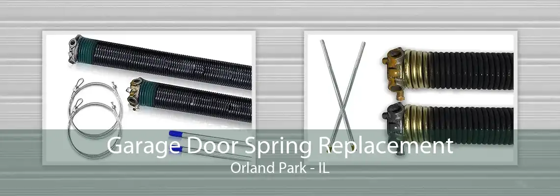 Garage Door Spring Replacement Orland Park - IL