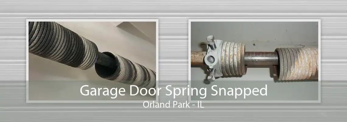 Garage Door Spring Snapped Orland Park - IL