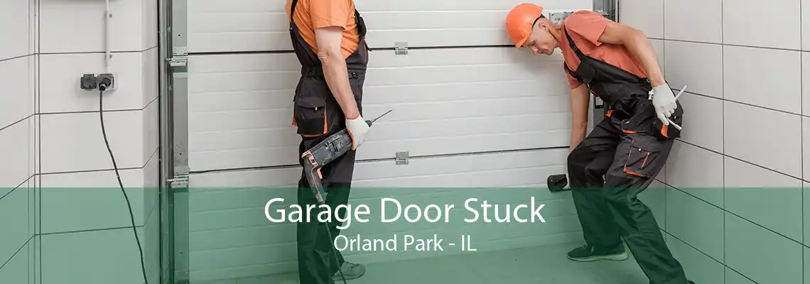 Garage Door Stuck Orland Park - IL