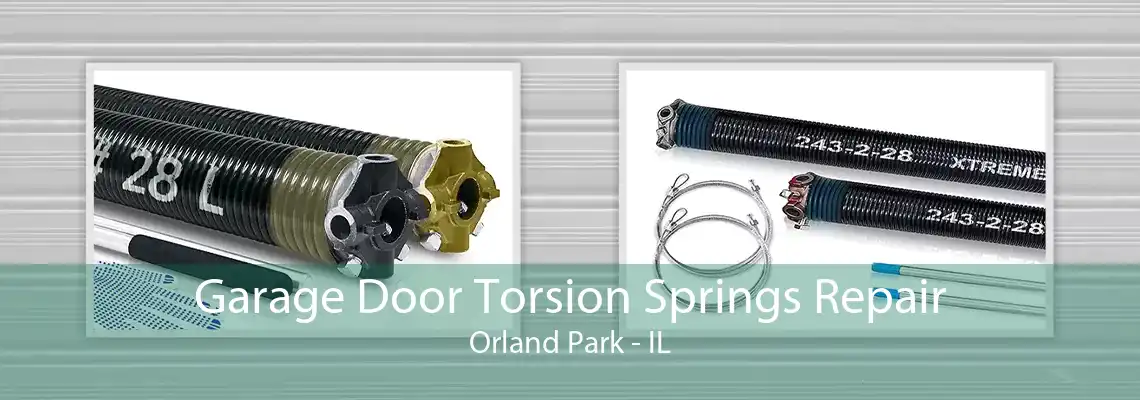 Garage Door Torsion Springs Repair Orland Park - IL