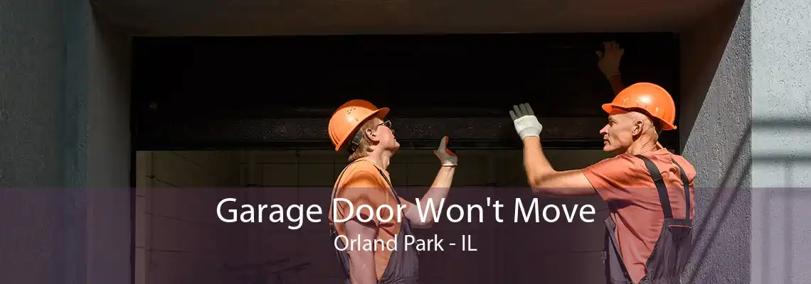 Garage Door Won't Move Orland Park - IL