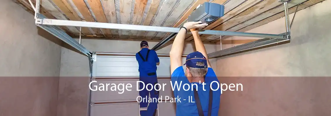 Garage Door Won't Open Orland Park - IL