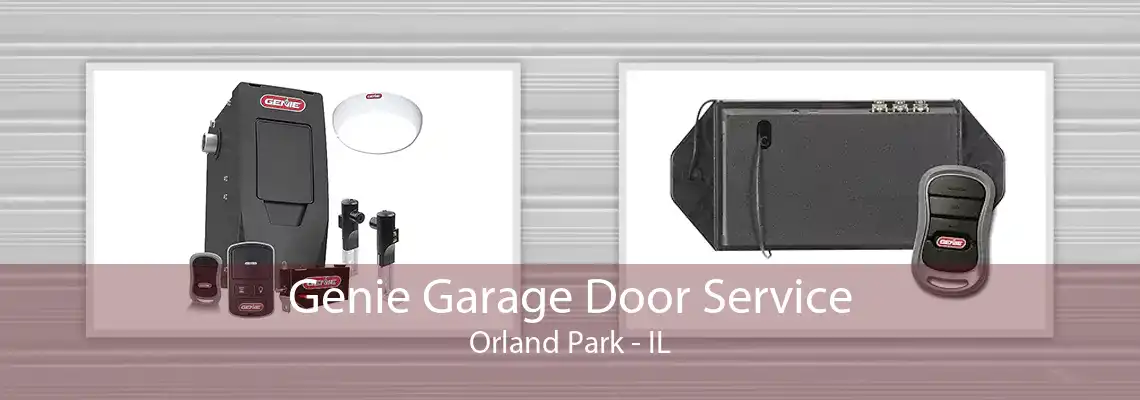 Genie Garage Door Service Orland Park - IL