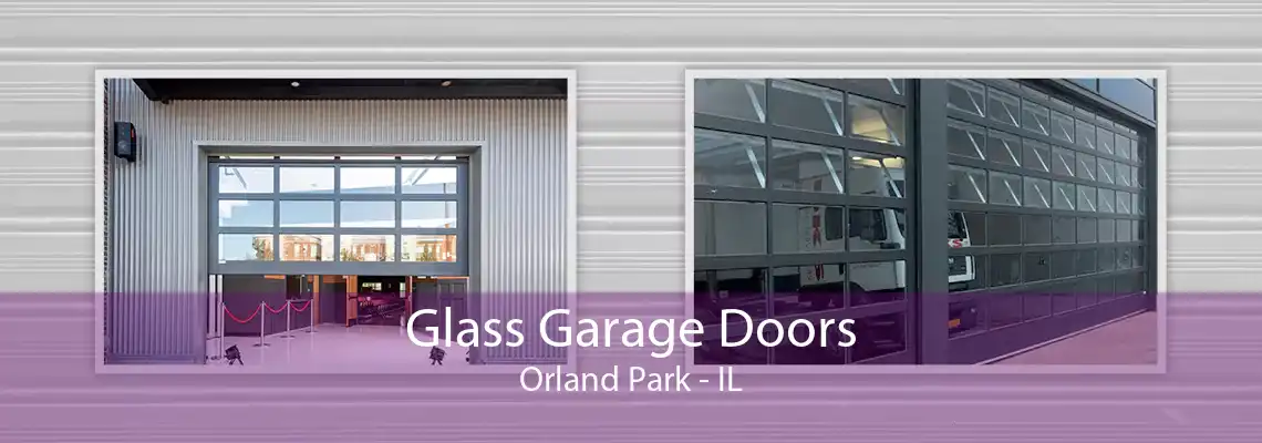 Glass Garage Doors Orland Park - IL