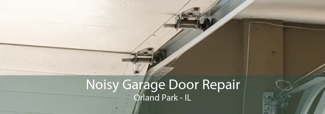 Noisy Garage Door Repair Orland Park - IL