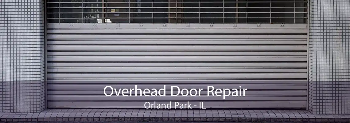 Overhead Door Repair Orland Park - IL