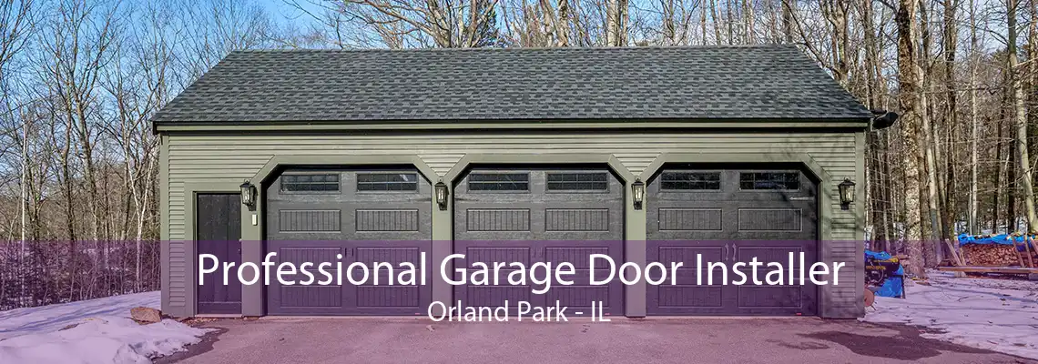 Professional Garage Door Installer Orland Park - IL