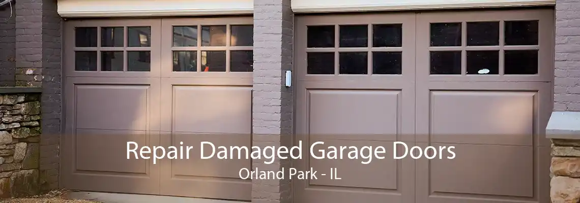 Repair Damaged Garage Doors Orland Park - IL