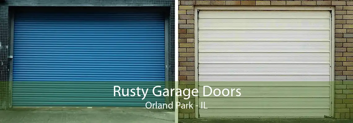 Rusty Garage Doors Orland Park - IL